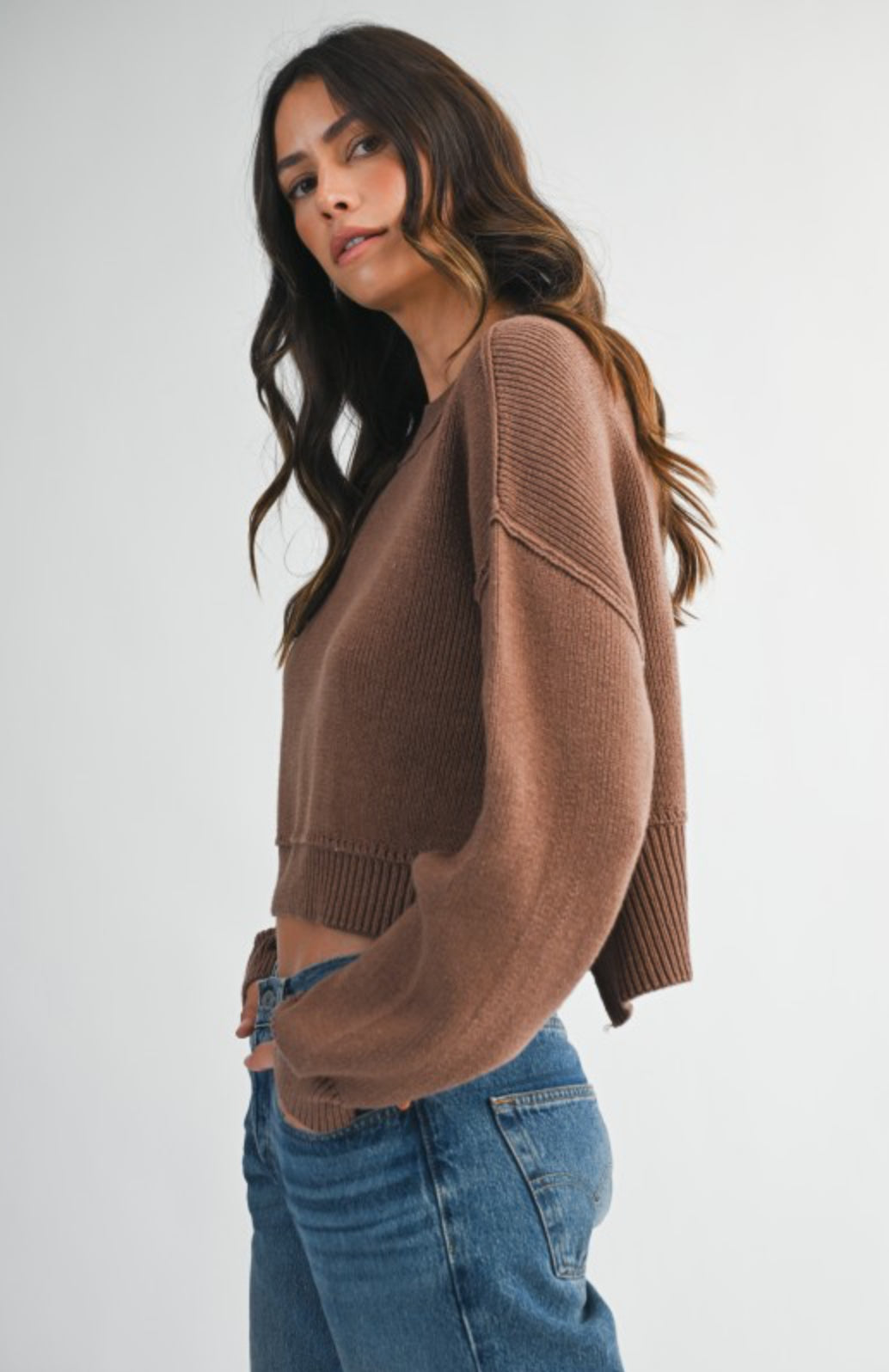 Mineral Mocha Cropped Sweater