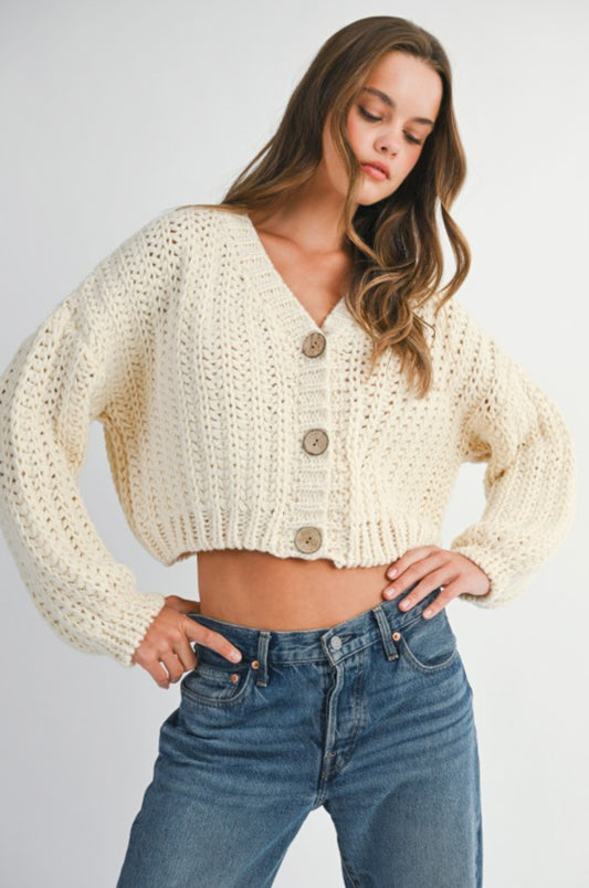 Cozy Knits Crop Cardigan