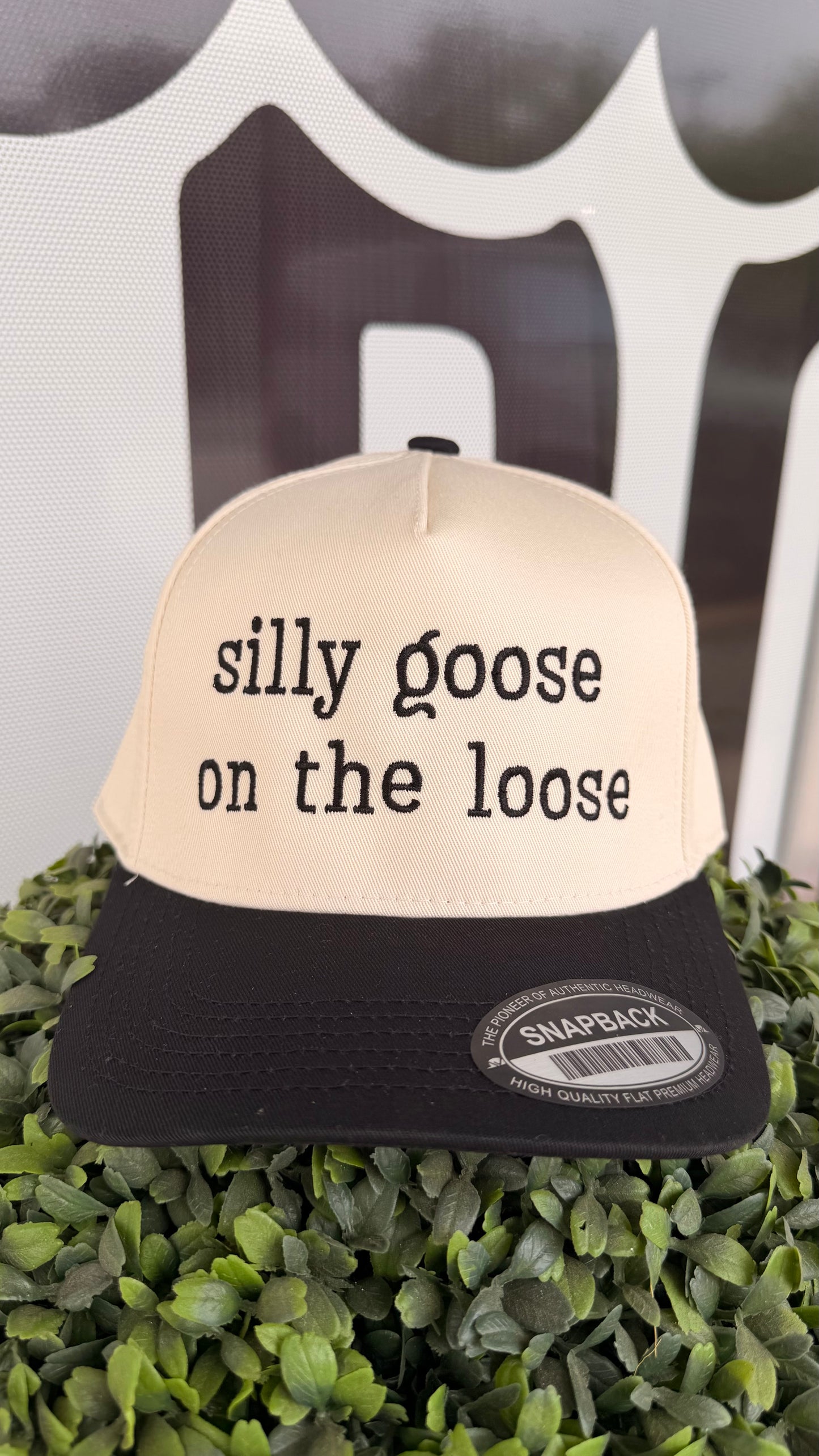SK: Silly Goose