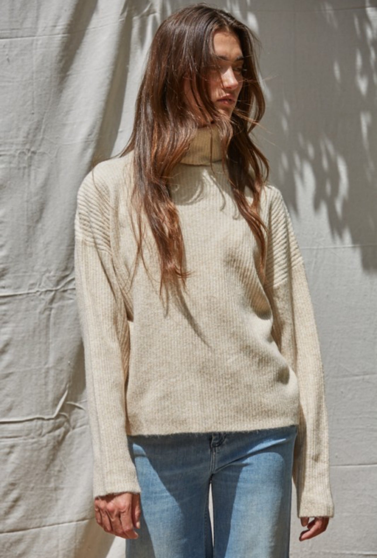 Alys Turtleneck Sweater